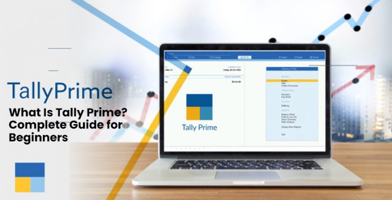Tally Accounting Software
