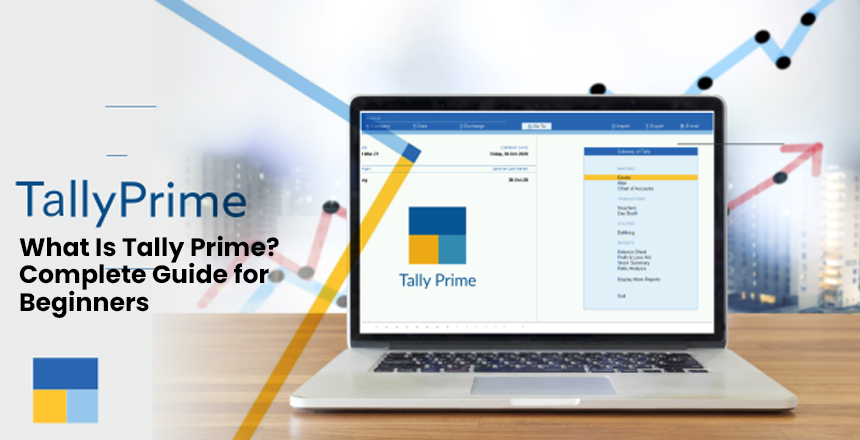 Tally Accounting Software