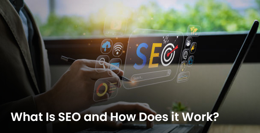 search engine optimization basics